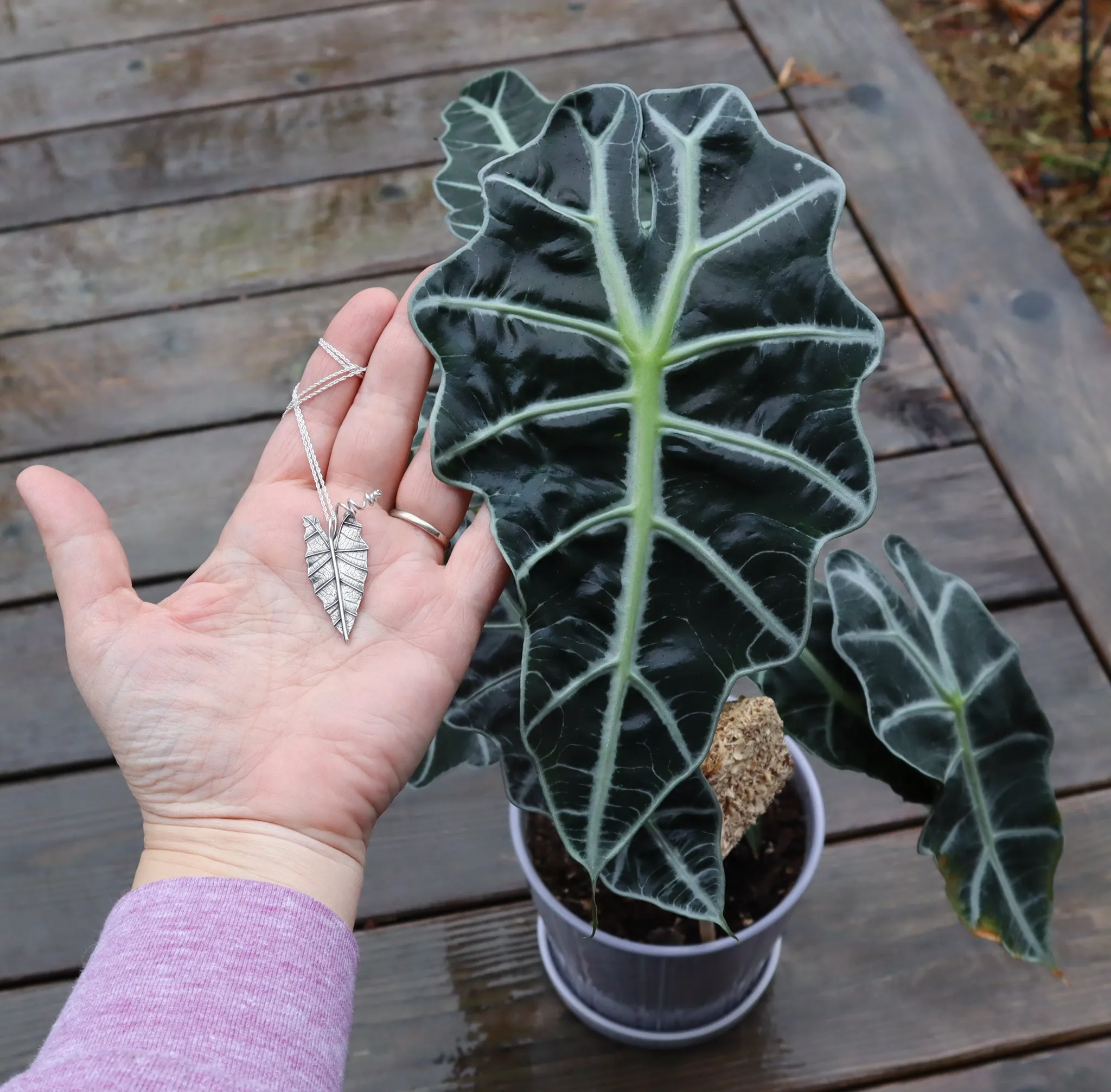 Alocasia Leaf Necklace