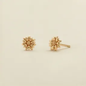 April Birth Flower Stud Earrings