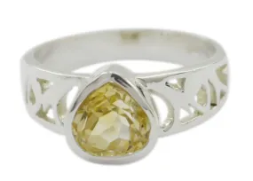 Cute Gem Citrine 925 Sterling Silver Ring Wall Jewelry Organizer