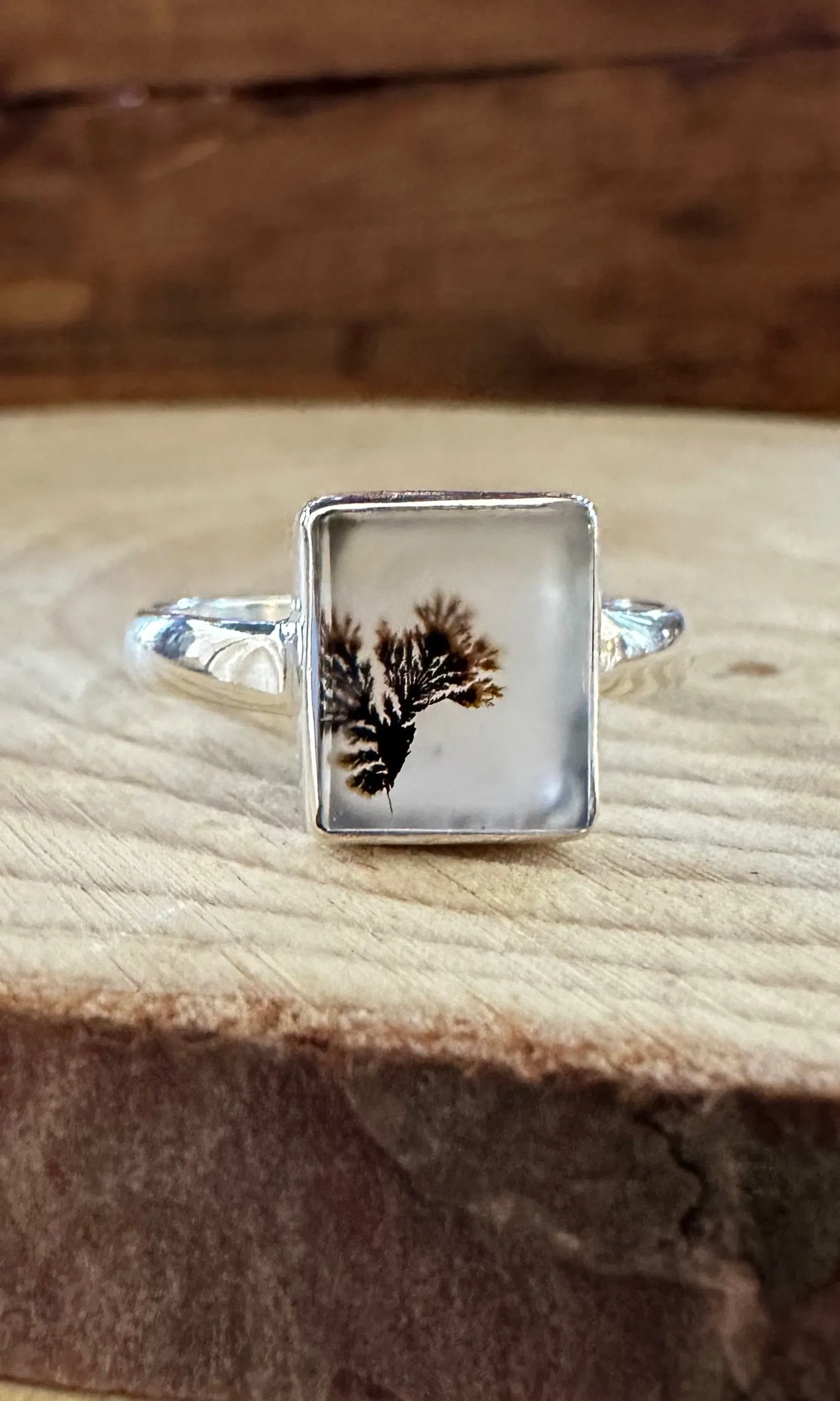 DENDRITIC AGATE and Silver Ring Size 8