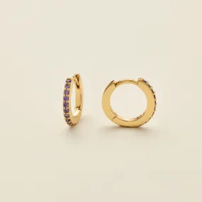 February Birthstone Hoop Earrings