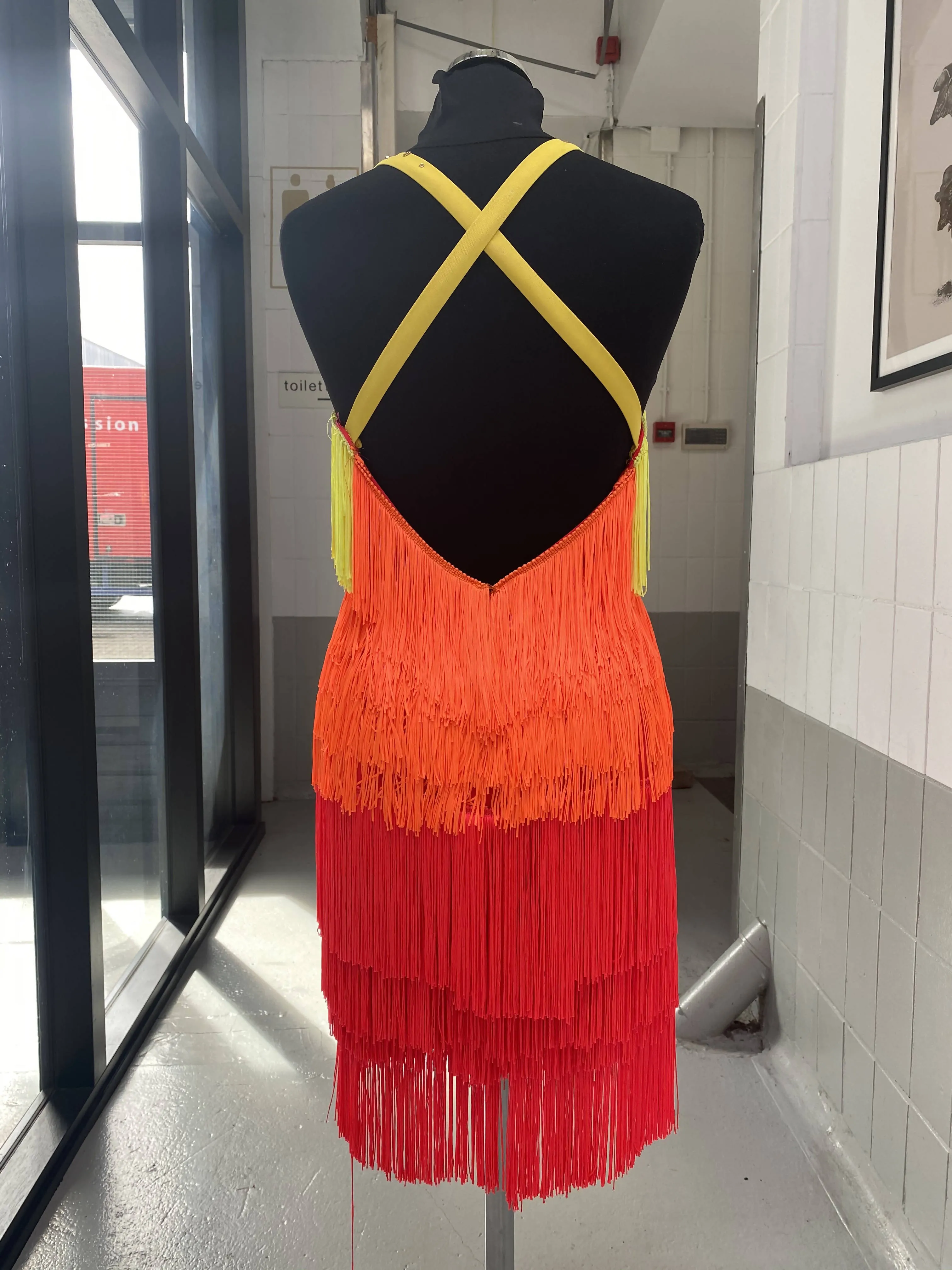 Fringe Rainbow Dress