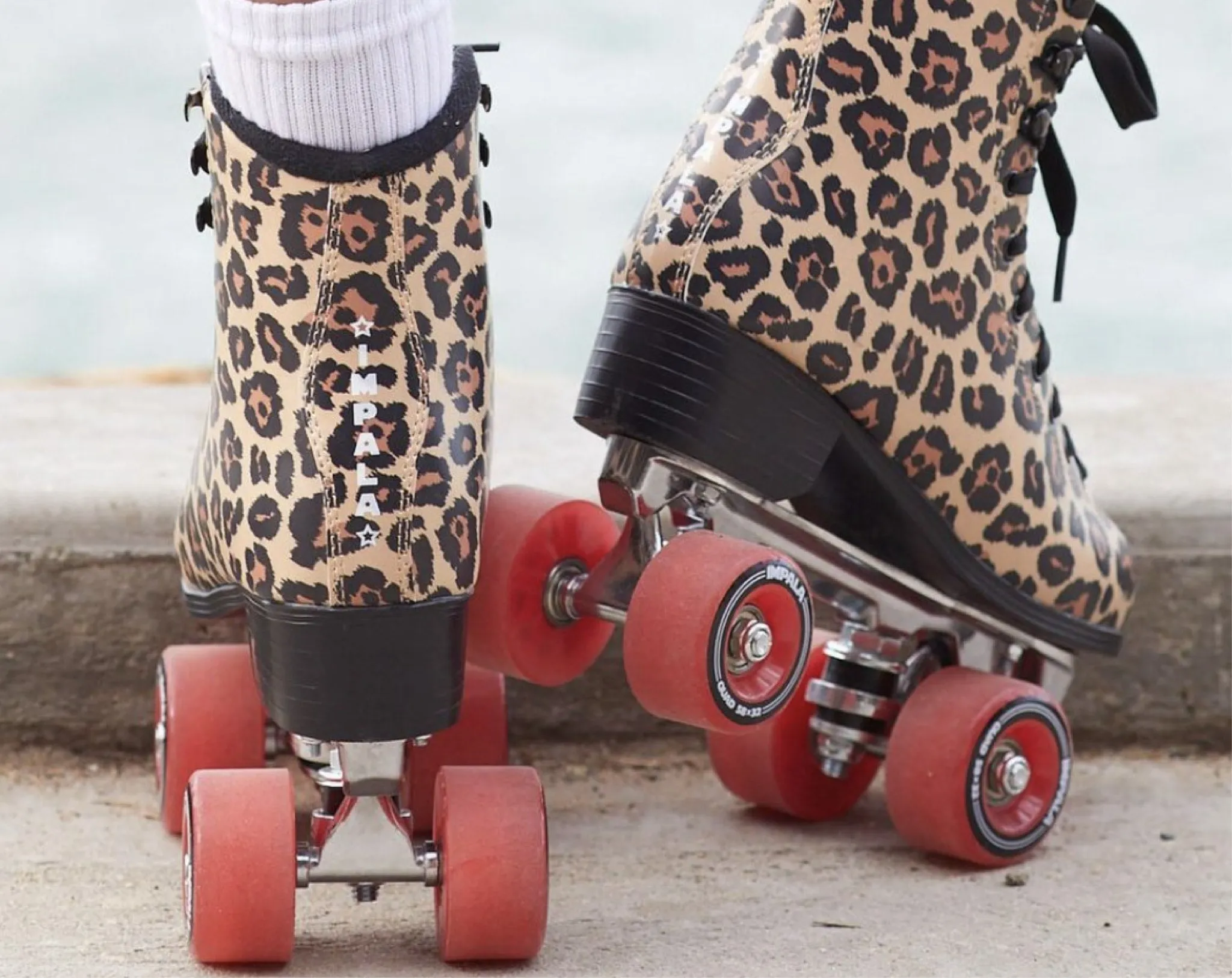 Impala Skates Leopard