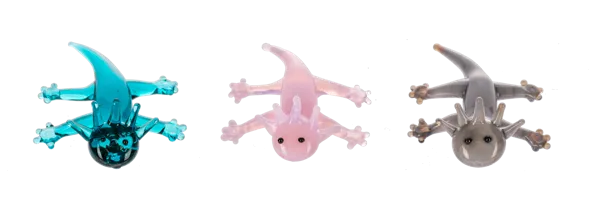 The Amazing AXOLOTL Charm Pocket Token - 1 Assorted