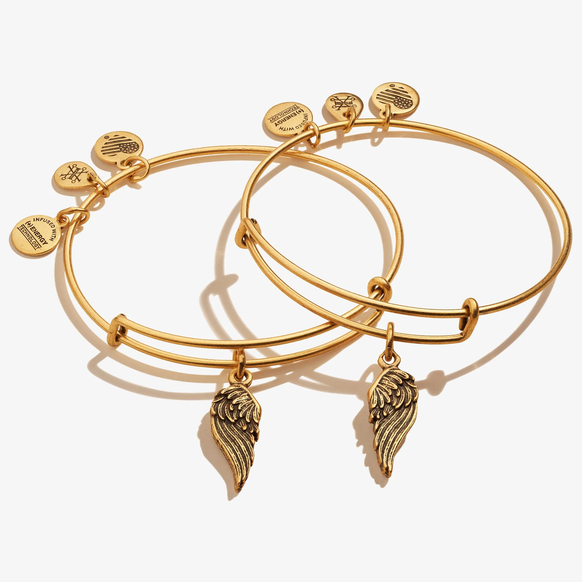 Wings Charm Bangles, Set of 2