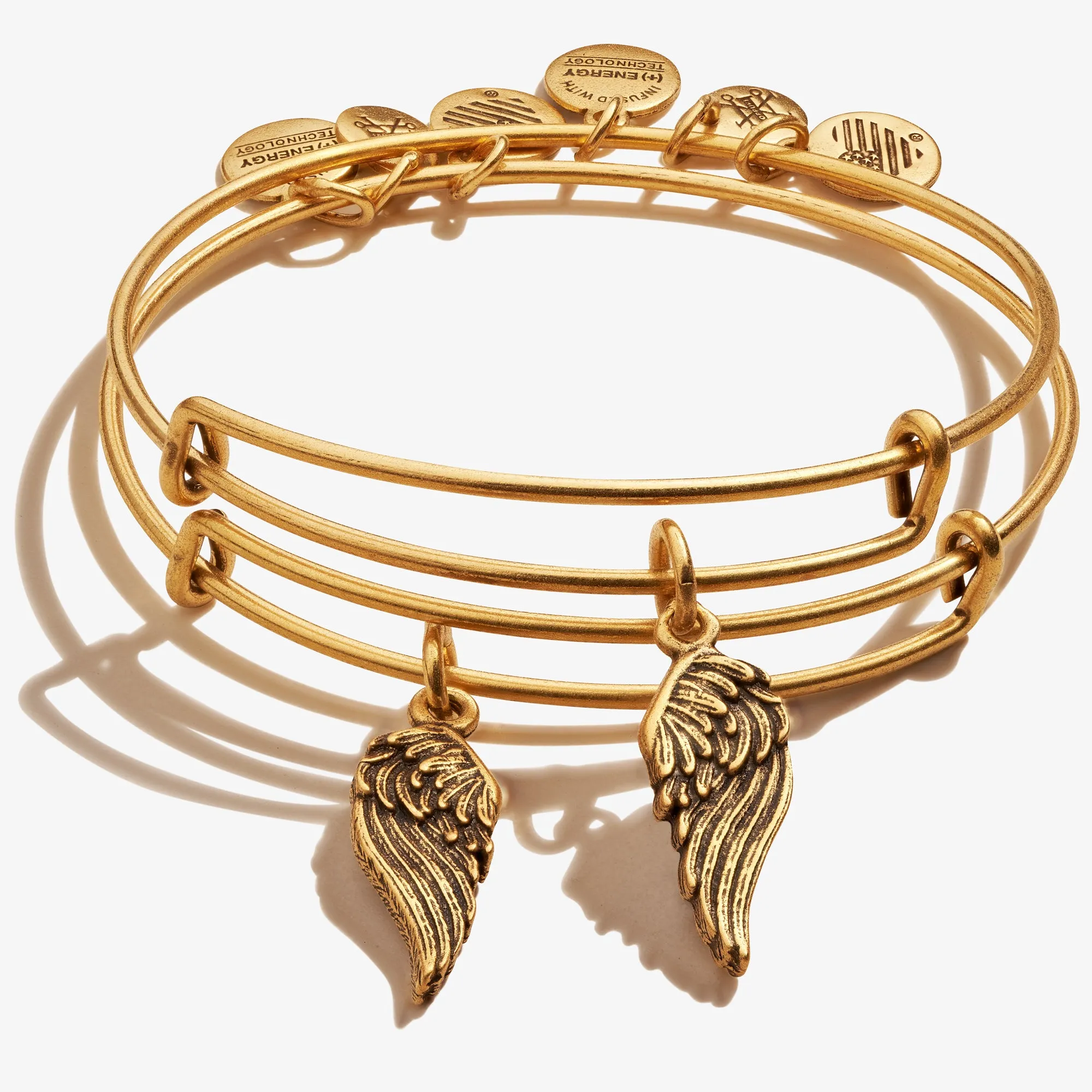 Wings Charm Bangles, Set of 2